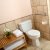 Buena Vista Senior Bath Solutions by Independent Home Products, LLC